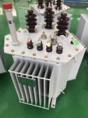 Three-dimensional  oil immersed transformer