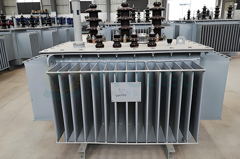 Lightning Strikes Protection for 10kV Oil-Immersed Transformers