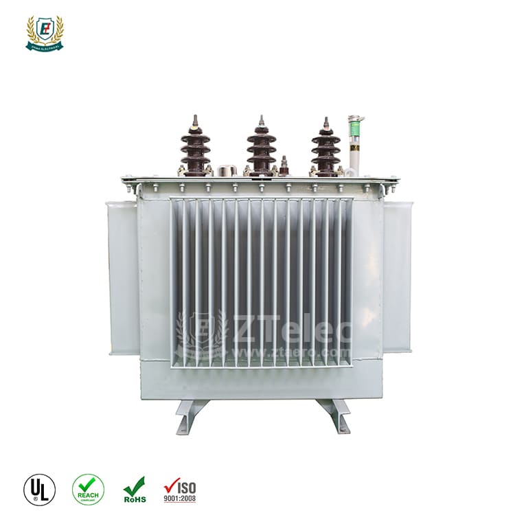 Oil-immersed transformers