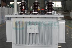3500 kVA 23 kV Oil-Immersed Transformer: Specifications & Technical Data